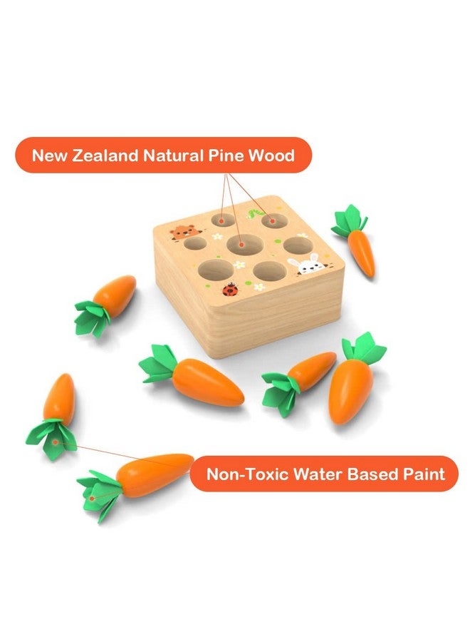 Wdmiya ألعاب مونتيسوري للأطفال بعمر سنة واحدة، ألعاب خشبية لتطوير مهارات فرز الأشكال والألغاز المطابقة، لعبة حصاد الجزر، هدايا عيد الميلاد للأطفال من 6-12 شهرًا - Image 4