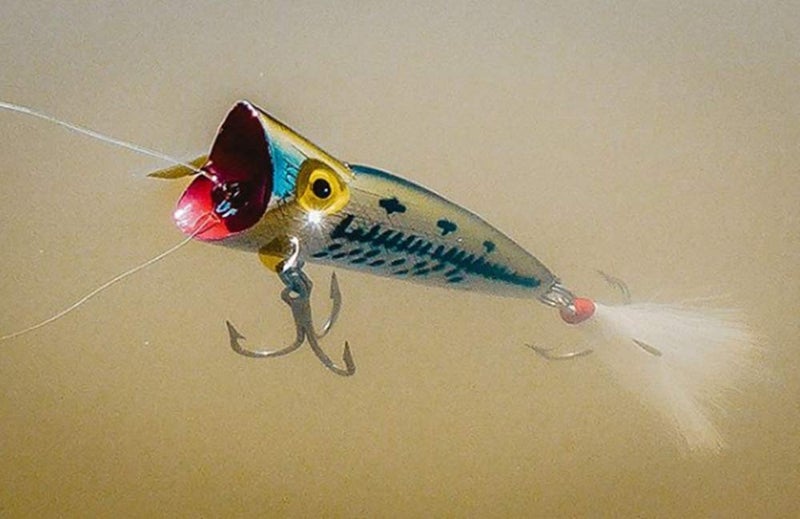 Rebel Lures Pop-R Topwater Popper Fishing Lure, Silver/Black, Magnum Pop-R (1/2 oz), One Size, 3" - Image 5