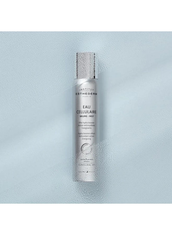 إنستيتوت إستيديرم رذاذ الماء الخلوي المضاد للأكسدة والمنشط من إنستيتوت إستيديرم 200 مل - Image 2