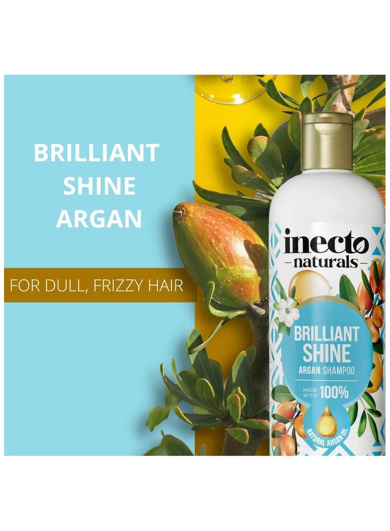 INECTO Natural Brilliant Shine Argan Shampoo 500 ML - Image 4