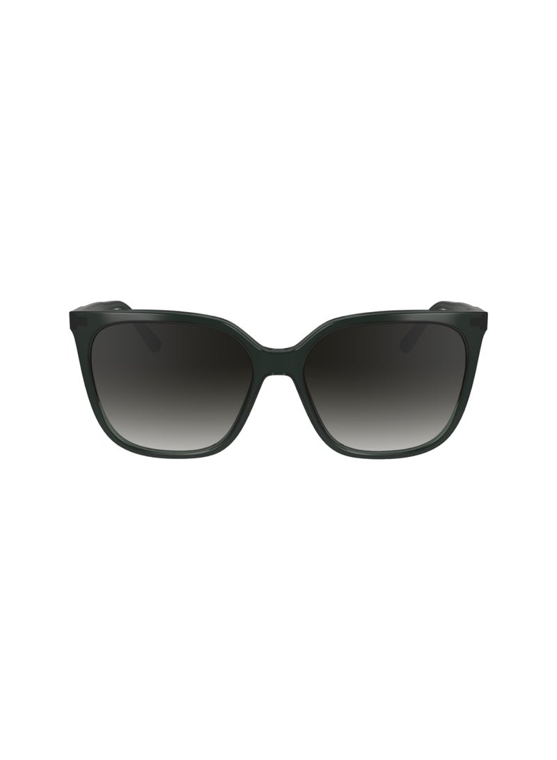 CALVIN KLEIN FULL RIM ACETATE MODIFIED RECTANGLE CALVIN KLEIN SUN CK24509S  5616 (339) GREEN/MINT  - Image 1