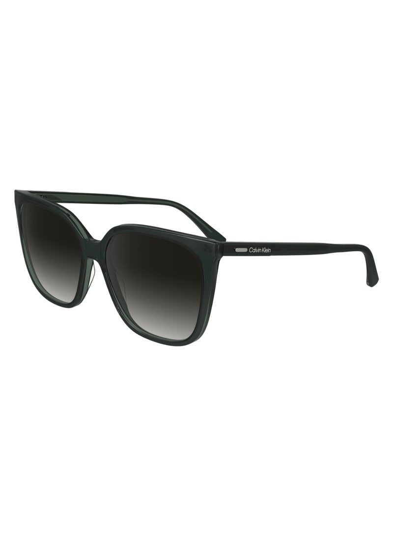 CALVIN KLEIN FULL RIM ACETATE MODIFIED RECTANGLE CALVIN KLEIN SUN CK24509S  5616 (339) GREEN/MINT  - Image 2