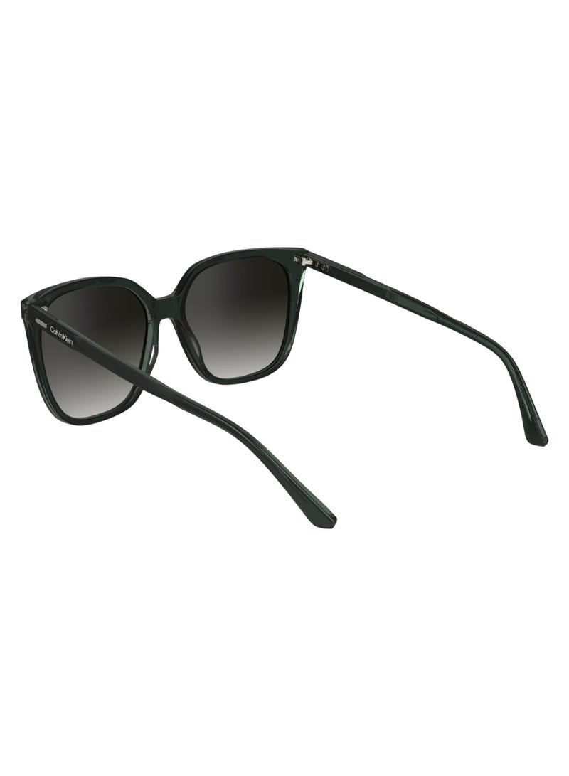 CALVIN KLEIN FULL RIM ACETATE MODIFIED RECTANGLE CALVIN KLEIN SUN CK24509S  5616 (339) GREEN/MINT  - Image 5
