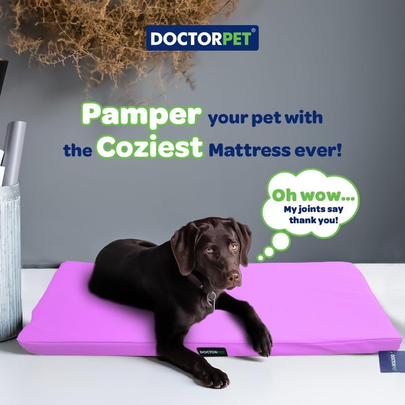 DoctorPet Doctor Pet Gelato Series Crate Mattress - XX-Large - Image 2