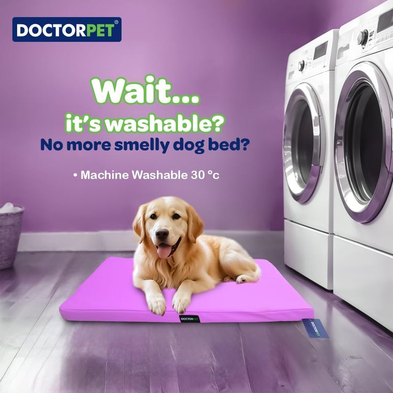 DoctorPet Doctor Pet Gelato Series Crate Mattress - XX-Large - Image 3