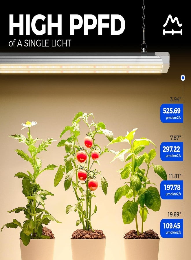 Barrina TX72 4FT Grow Lights for Seed Starting, 72W(500W Equivalent), High PPFD, Full Spectrum with 660nm Red LEDs, Linkable, Hanging Grow Lights for Indoor Plants with On/Off Switch, Veg, 1 Pack - Image 3