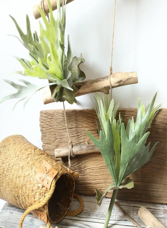 QFSH 2Pcs Artificial Staghorn Fern Realistic Fake Flocked Succulent Plants Green Potted Plant Indoor Outdoor Wall Hanging Decor - Image 1