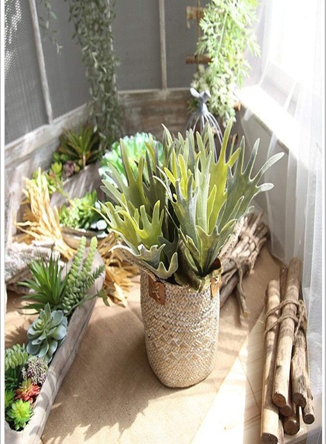QFSH 2Pcs Artificial Staghorn Fern Realistic Fake Flocked Succulent Plants Green Potted Plant Indoor Outdoor Wall Hanging Decor - Image 3