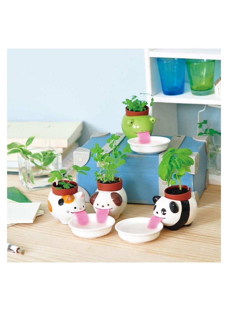 Generic 3 Pieces Watering Animal Planter Self Watering Planter Drinking Animal Tongue C ute Style Ceramic Mini Backpack Plant Pot - Image 1