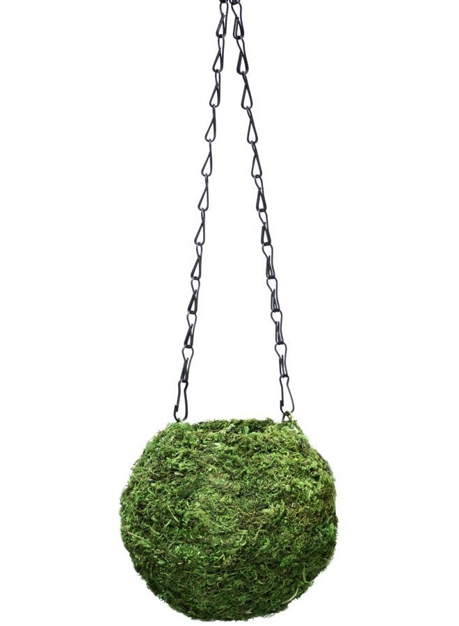 Super Moss (29348) Kokedama Planter, 6", Fresh Green - Image 1