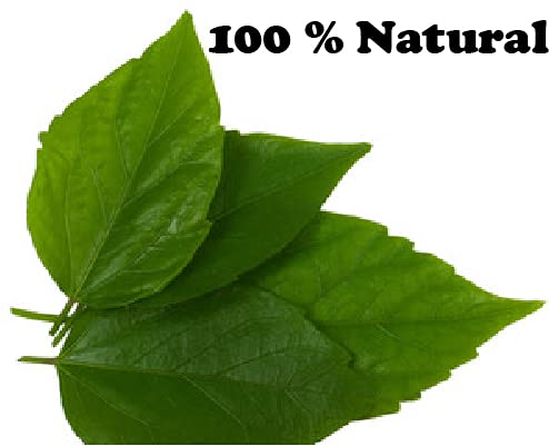 DIETS ORGANICS DIETS ORGANICS Hibiscus leaf powder for hair care200G  - Image 4