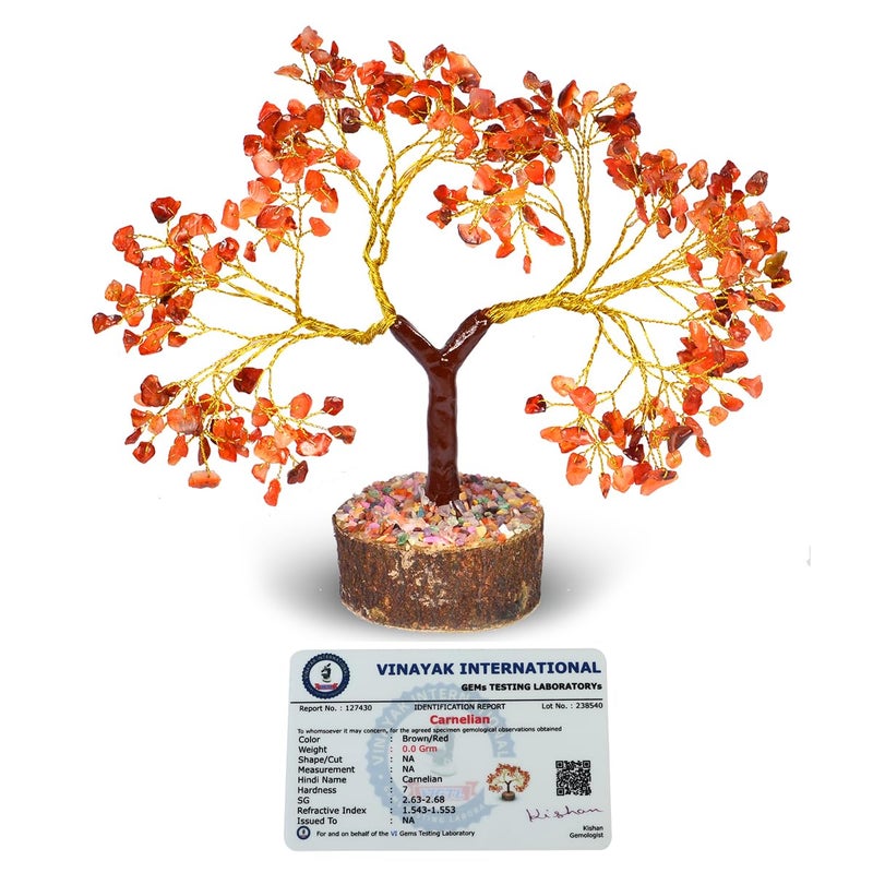 Crystu Certified Natural Red Carnelian Stone Tree 300 Beads Crystal Tree Stone Tree Showpiece