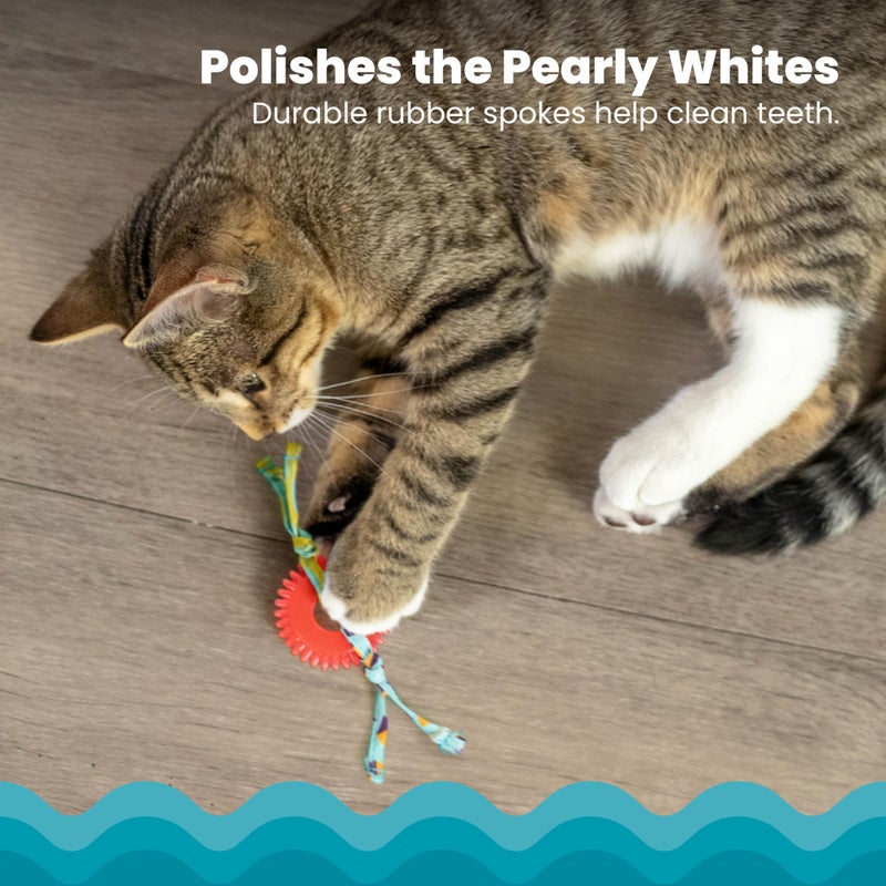 Catstages Dental Kitty Chew Wheel Catnip Cat Toy - Image 3
