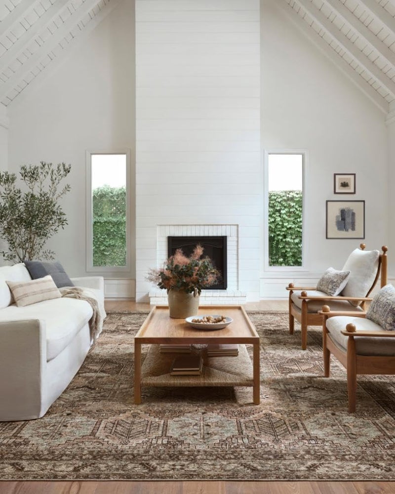 Loloi Amber Lewis Billie Collection Clay  Sage 50 x 76 Area Rug  Antique  Distressed Accent Rugs for Living Room Bedroom Entryway  Hallway No Shed High Traffic Area Home Decor Rug