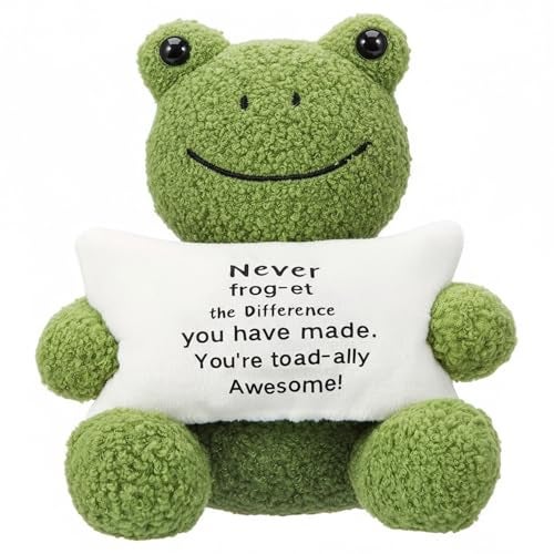 Hollowfly 984 Inch Positive Funny Cute Frog Stuff Active Support Gifts Motivational Gifts for Women Men Coworker Teacher Christmas Birthday Creative Plush Frog Holding Pillow Gift Positive Decor - Image 1