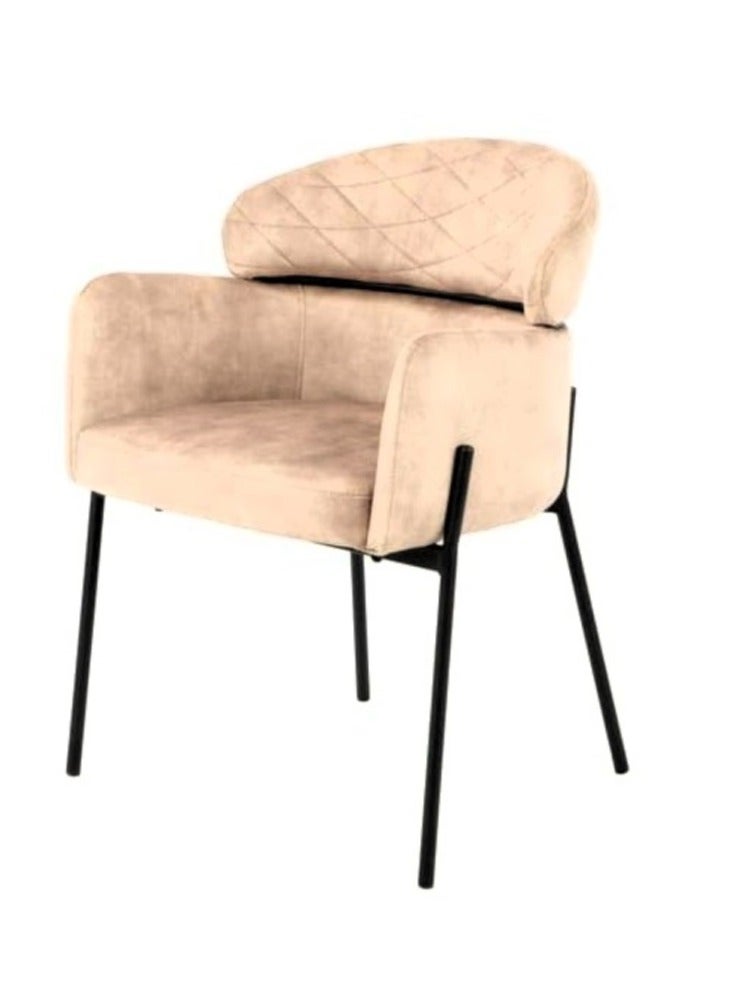 Modern Metal Dining Chairs, Garden Chairs, Outdoor Seating for Backyard, Poolside, Balcony, Indoor Use