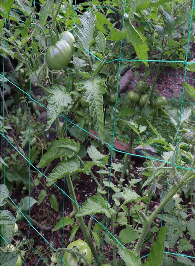 Miuezuth Trellis Netting for Climbing Plants - Heavy Duty Garden Trellis Netting for Cucumber, Vine, Fruits & Vegetables Tomato Plants Trellis Net, Climbing Vining Plants (32.8' x 6.6'Ft) - Image 5