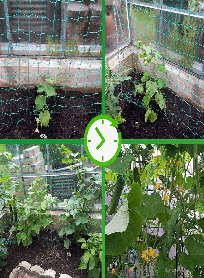 Miuezuth Trellis Netting for Climbing Plants - Heavy Duty Garden Trellis Netting for Cucumber, Vine, Fruits & Vegetables Tomato Plants Trellis Net, Climbing Vining Plants (32.8' x 6.6'Ft) - Image 4