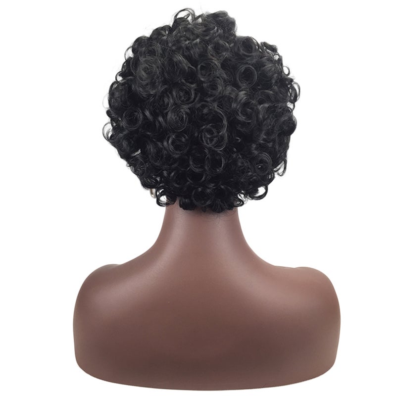High-temperature Synthetic Fiber Small Curly Matte Wigs for The Light Curve Natural Frizz Afro Hair - Image 5