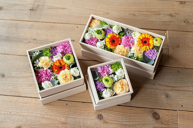 R H LIFESTYLE Silica Gel for Drying Flowers for Resin Art Desiccant Silica Powder Flower Preservation Gel Moisture Absorber Silica Beads Flower 750 Grams - Image 4
