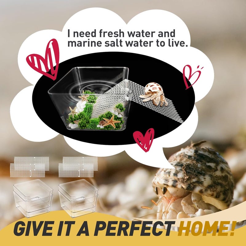 Iffitya 4 Packs Hermit Crab Water Tank - Ideal Hermit Crab Pool Combination - Water Tank with Cuttable Climbing Ramp - Image 5