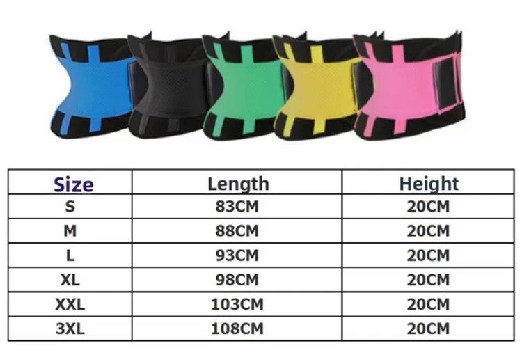 Bluejw Breathable Lumbar Support Waist Trainer - Slimming Compression Waist Trimmer Lower Back Brace for Women & Men - Image 5