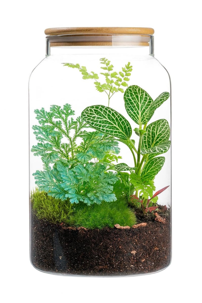 kitchentoolz 1 Gallon Glass Large Jar with Airtight Bamboo Lid - Strong Clear Borosilicate Canister for Kitchen Food Storage Organizing, Terrarium, Pantry Decorative Container & Laundry Room - Pack of 1 - Image 5