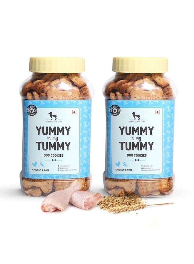 Heads Up For Tails Yummy in My Tummy Chicken Dog Biscuits for Adult Dog & Puppy - 320g | All Life Stages, Dog Treats, Crunchy Dog Biscuits | Made with Real Chicken | Pack of 2 - Image 1