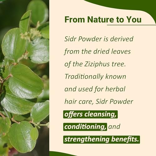 minature Mi Nature Fresh Sidr Leaves Powder 454gm (16oz) | Natural Deep Cleansing & Conditioning Herb for Hair Care | Traditional Herbal Cleanser |Plant-based Source of Mucilages and Saponins - Image 2