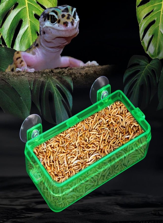 APlayfulBee Reptile Feeder Chameleon Bowl 2 Pcs Anti-Escape Food Dish Bowl with Suction Cup for Chameleon Iguana Lizard Reptile Food and Water Feeding (Green, M) - Image 4