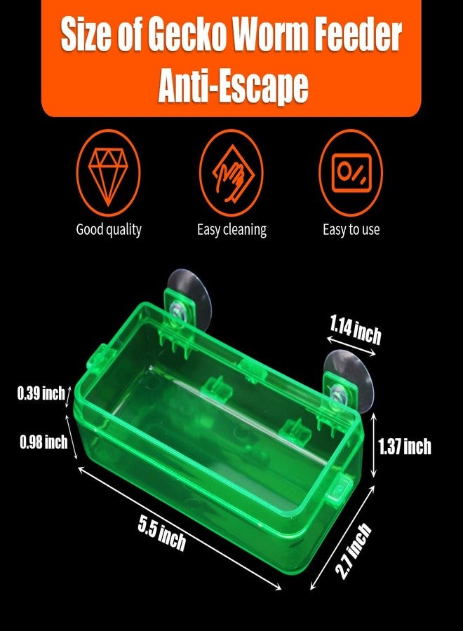 APlayfulBee Reptile Feeder Chameleon Bowl 2 Pcs Anti-Escape Food Dish Bowl with Suction Cup for Chameleon Iguana Lizard Reptile Food and Water Feeding (Green, M) - Image 2