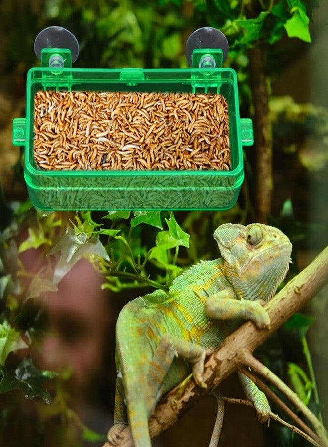 APlayfulBee Reptile Feeder Chameleon Bowl 2 Pcs Anti-Escape Food Dish Bowl with Suction Cup for Chameleon Iguana Lizard Reptile Food and Water Feeding (Green, M) - Image 5