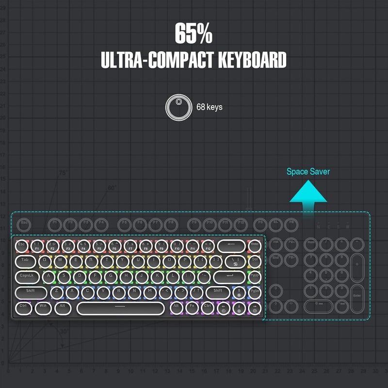 Dpofirs 68 Key Retro Typewriter Mechanical Keyboard | Blue Switch Tactile Feedback, RGB Backlit & Anti Ghosting for Win/, Plug and Play (Black) - Image 4