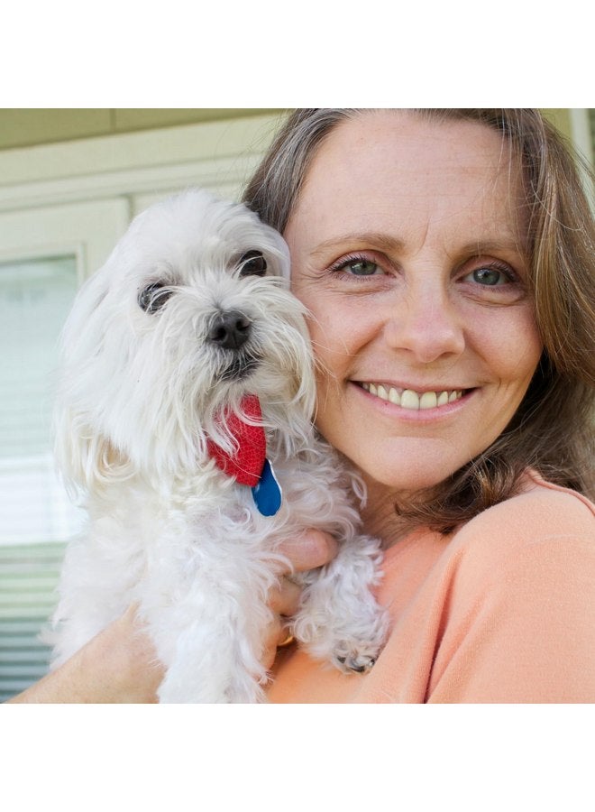 Petpost | Tear Stain Remover Comb for Dogs - Extra Fine Tooth Rake Gently & Effectively Gets Rid of Crust, Mucus, and Gunk Around Your Shih Tsu or Maltese Blue - Image 5