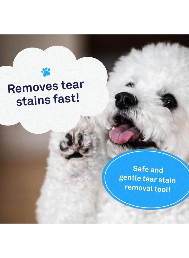 Petpost | Tear Stain Remover Comb for Dogs - Extra Fine Tooth Rake Gently & Effectively Gets Rid of Crust, Mucus, and Gunk Around Your Shih Tsu or Maltese Blue - Image 3