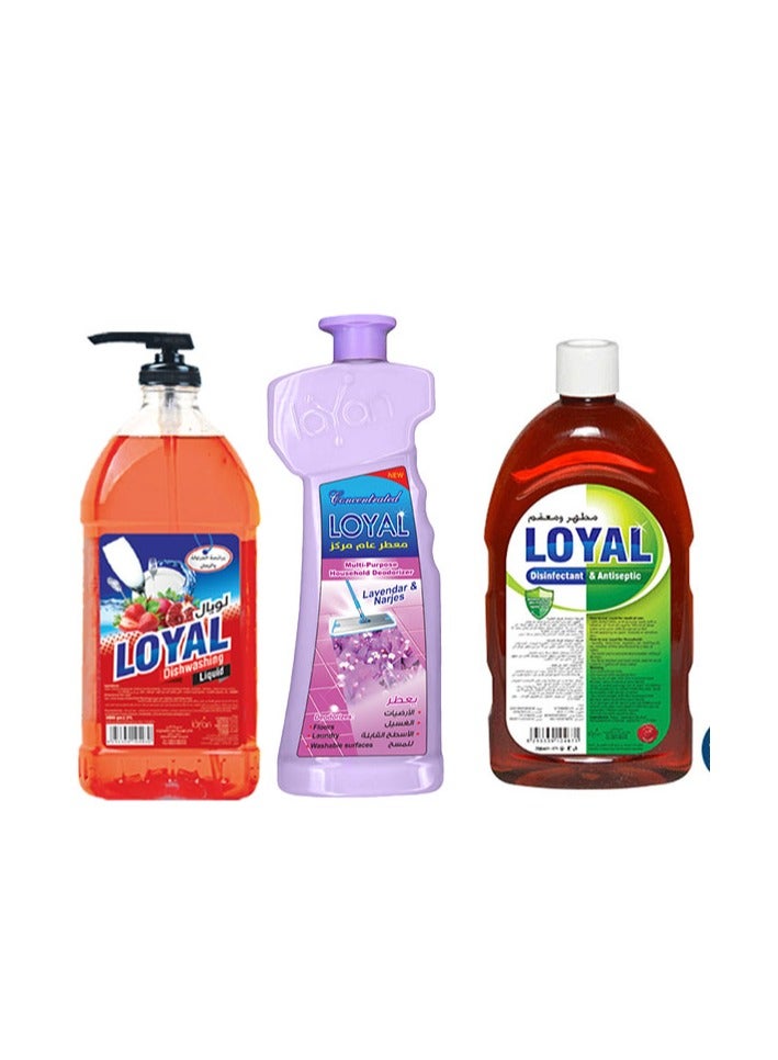 loyal Economical home care package from Loyal 12 products - Image 3