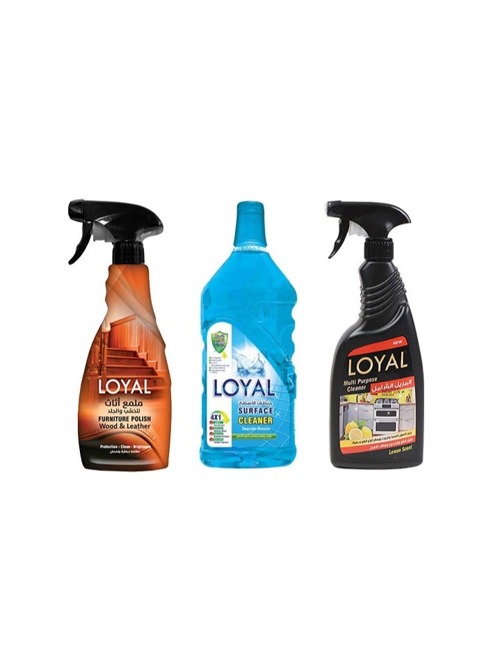 loyal Economical home care package from Loyal 12 products - Image 4