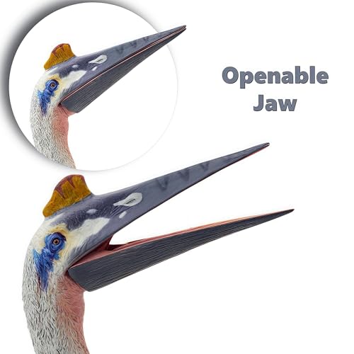 Gemini&Genius GeminiGenius Pteranodon Toy for Kids Quetzalcoatlus Dinosaur Action Figure Pterodactyl Figurine Large Flying Dinosaur Toy Realistic Pternanodon Gift for Kids Display and Play - Image 5