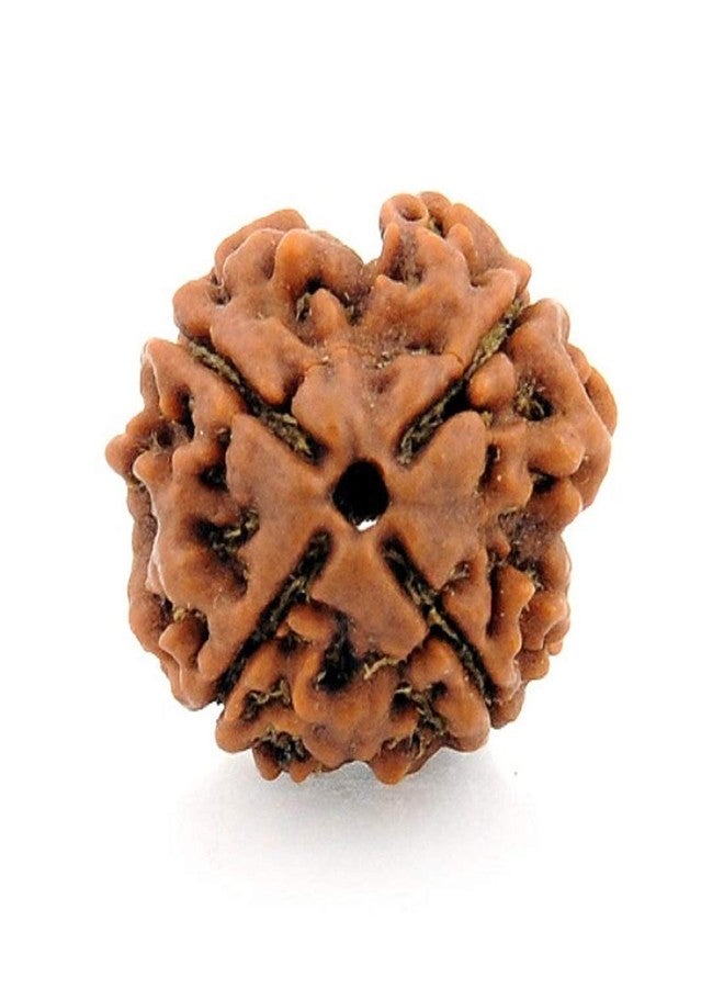 numeroastro Natural & Original Shri Ganesh Rudraksha Bead For Men & Women (Nepali Bead) (1 Pc) - Image 3