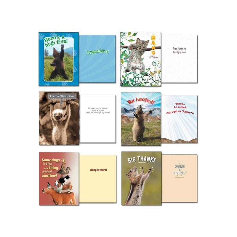 Leanin' Tree Wildly Funny - Made In USA - 20 Assorted Cards with Envelopes All Occasion, Birthday Cards Funny Enough to Make You Laugh, Includes Birthday, Encouragement, Friendship, Thank You and More - Image 5