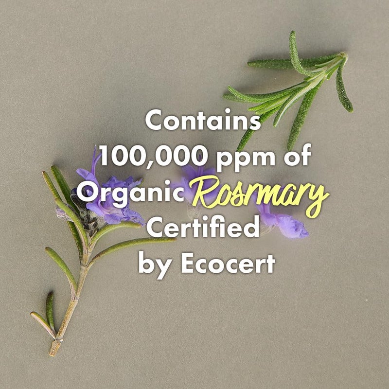 RATED GREEN Rosemary Balancing Scalp Pack | Organic Cold Brewed Charcoal | 2-in-1 Detoxifying Hair Mask for Flaky, Oly Scalp & Hair | Silicone-Free, Korean Hair Care | 1.69 fl oz (Pack of 5) - Image 2