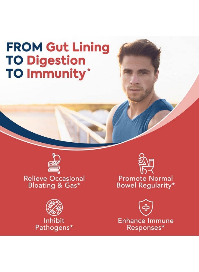 Surebounty سورباونتي بروبيوتيك 60 مليار CFU 19 سلالة للرجال والنساء، مع 100 ملغ من البريبايوتيك، مستقر على الرف، بروبيوتيك للعناية اليومية 2 في 1، غير معدّل وراثيًا، صحة الجهاز الهضمي والمناعة، 60 كبسولة نباتية - Image 4