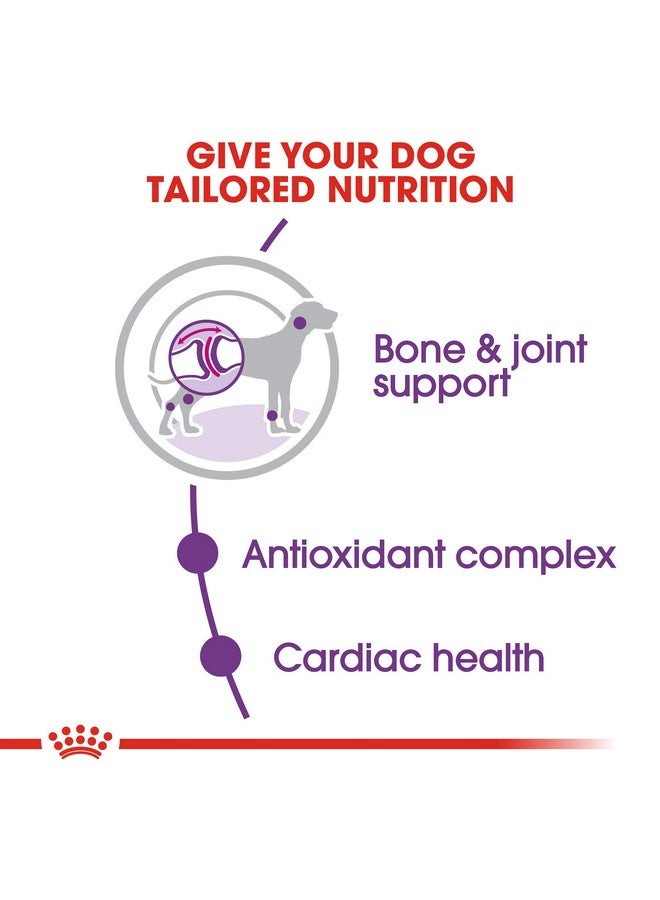 ROYAL CANIN Giant Adult, 4 Kg, For Dog, Dry - Image 4