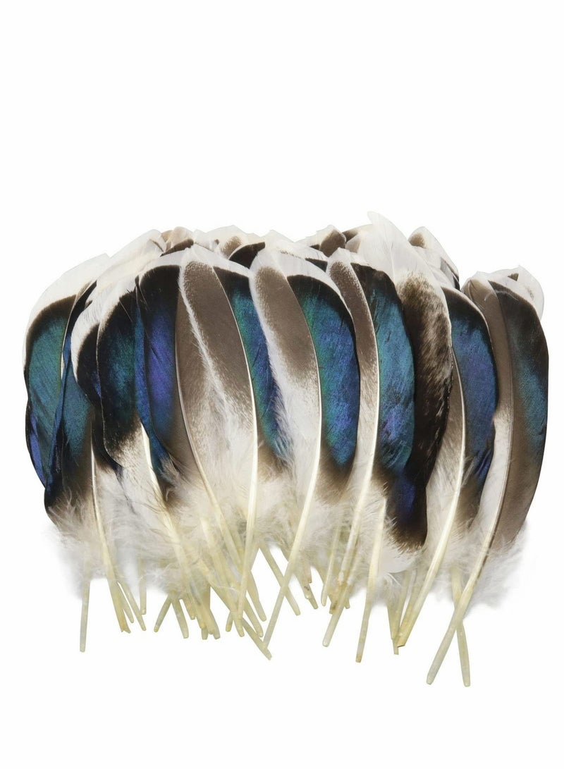 Excefore 150 PCS Duck Feathers, Natural for DIY Craft Art, Decor Carnival Handwork Clothing Costumes Hair Hats Crafts Home Wedding Party Decoration - Image 1