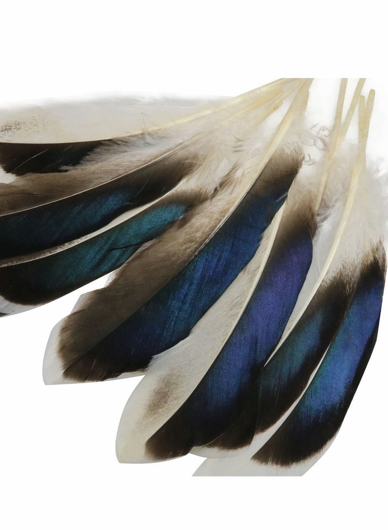 Excefore 150 PCS Duck Feathers, Natural for DIY Craft Art, Decor Carnival Handwork Clothing Costumes Hair Hats Crafts Home Wedding Party Decoration - Image 3