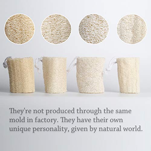 pisdoplop 5" Natural Loofah Exfoliating Body Sponge Scrubber, Plant-Based Organic Loofa Luffa for Men & Women Skin Care Bath Shower Cleaning Back & Face, Natural Sponges for Dishes, Pack of 4 - Image 3