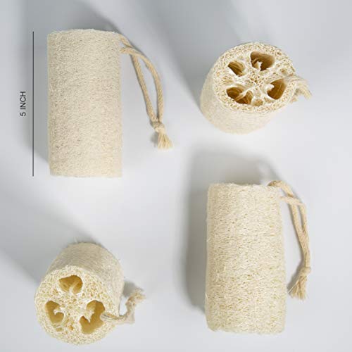 pisdoplop 5" Natural Loofah Exfoliating Body Sponge Scrubber, Plant-Based Organic Loofa Luffa for Men & Women Skin Care Bath Shower Cleaning Back & Face, Natural Sponges for Dishes, Pack of 4 - Image 2