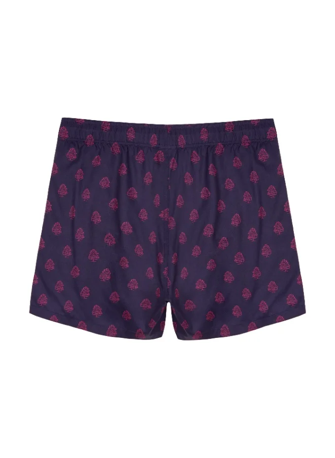 Cedro CEDRO MEN'S REGULAR FIT LIGHT WEIGHT DURABLE QUICK DRY PRINTED SWIMMING SHORTS