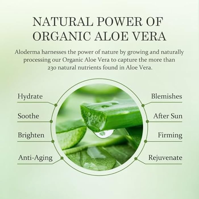 Aloderma Hydrating Facial Cleanser with Organic Aloe Vera - Daily Moisturizing Aloe Face Wash with Shea Butter, Vitamin E - Nourishing Face Cleanser for Normal, Dry Skin, Non-Comedogenic, 100g/3.5oz - Image 4
