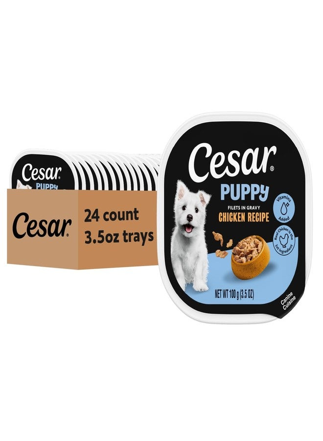 Cesar Puppy Filets in Gravy Wet Dog Food, Chicken Recipe, 3.5 oz. Easy Peel Trays, Dog Food Toppers, 24 Count - Image 1